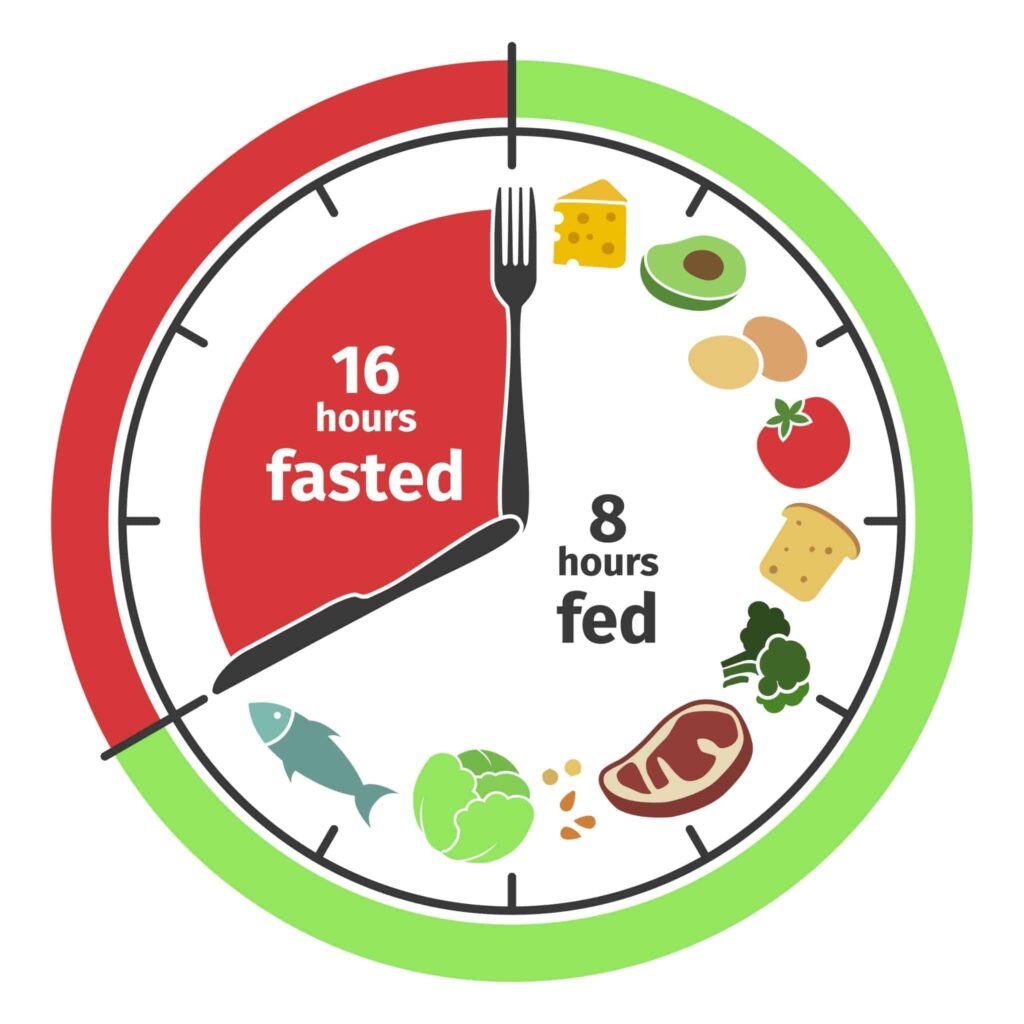 Split-Intermittent-Fasting-The-Meadowglade